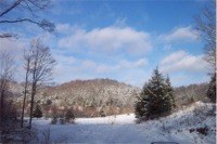 View from front porch